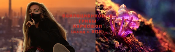 стаф Богородицк