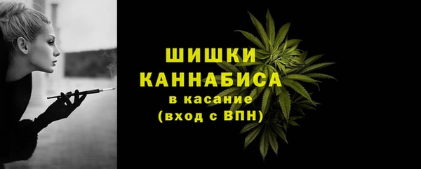 амф Богородск