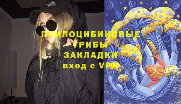 стаф Богородицк