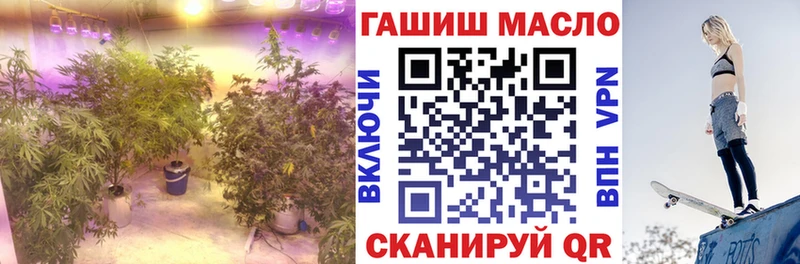 сайты даркнета какой сайт  Козьмодемьянск  Дистиллят ТГК концентрат  купить закладку 