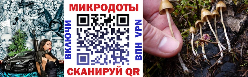 Псилоцибиновые грибы мухоморы  OMG зеркало  Козьмодемьянск 