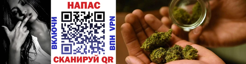 darknet клад  Козьмодемьянск  Шишки марихуана семена  mega как войти 